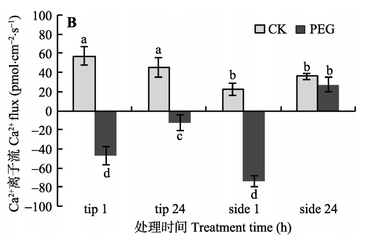 ganhanxiepo4