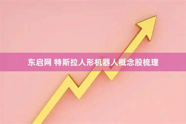 东启网 特斯拉人形机器人概念股梳理