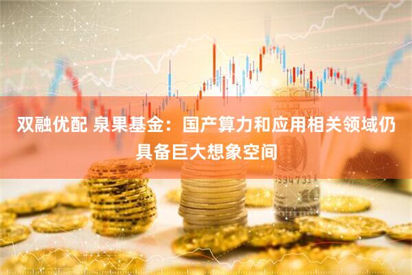 双融优配 泉果基金：国产算力和应用相关领域仍具备巨大想象空间