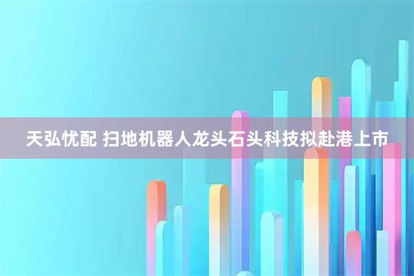 天弘忧配 扫地机器人龙头石头科技拟赴港上市