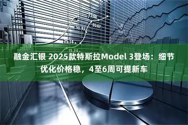 融金汇银 2025款特斯拉Model 3登场：细节优化价格稳，4至6周可提新车