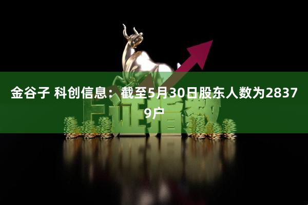 金谷子 科创信息：截至5月30日股东人数为28379户