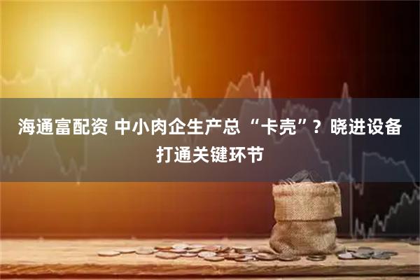 海通富配资 中小肉企生产总 “卡壳”？晓进设备打通关键环节