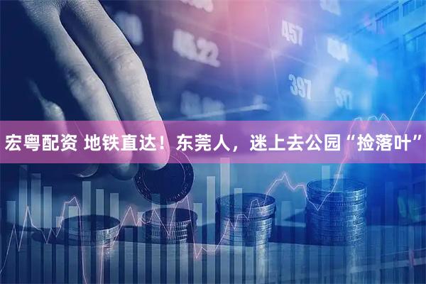 宏粤配资 地铁直达！东莞人，迷上去公园“捡落叶”