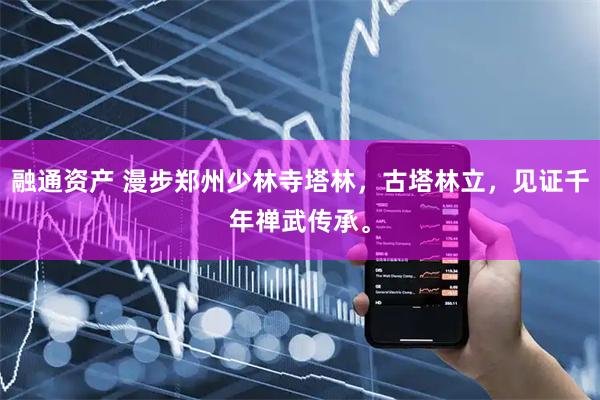 融通资产 漫步郑州少林寺塔林，古塔林立，见证千年禅武传承。