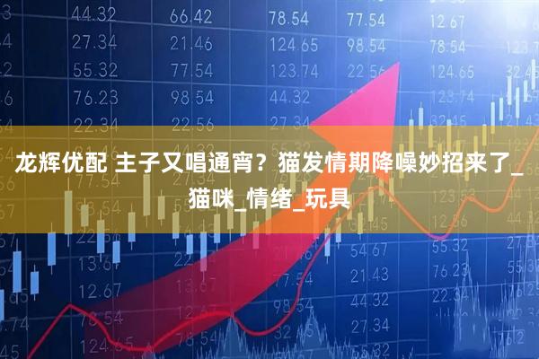 龙辉优配 主子又唱通宵？猫发情期降噪妙招来了_猫咪_情绪_玩具